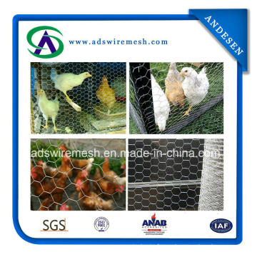 2015 Hot Sale! ! Galvanized Hexagonal Chicken Wire Mesh